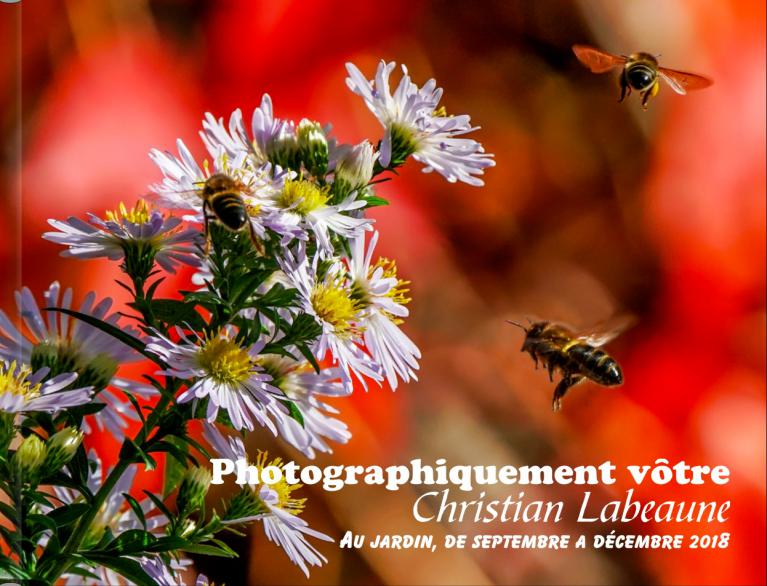 Au jardin 2018 Vol 3