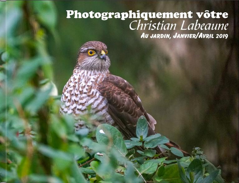 Au Jardin 2019 (1)