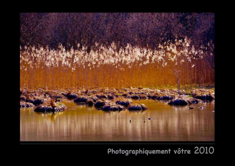 Livre photos 2010