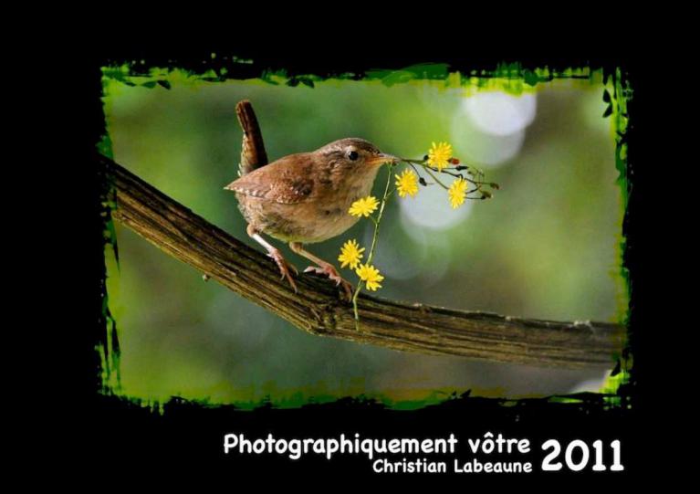 Livre photos 2011