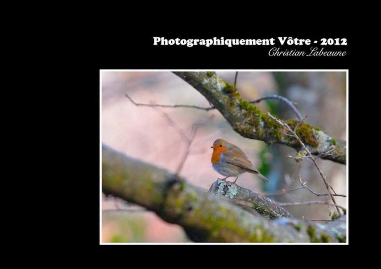 Livre photos 2012