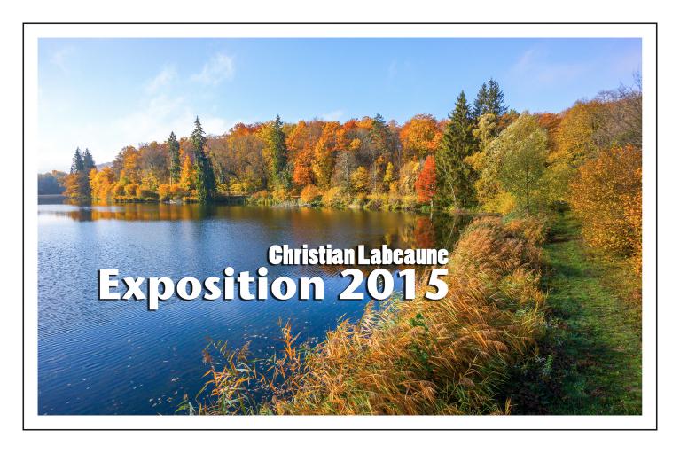 EXPOSITION 2015